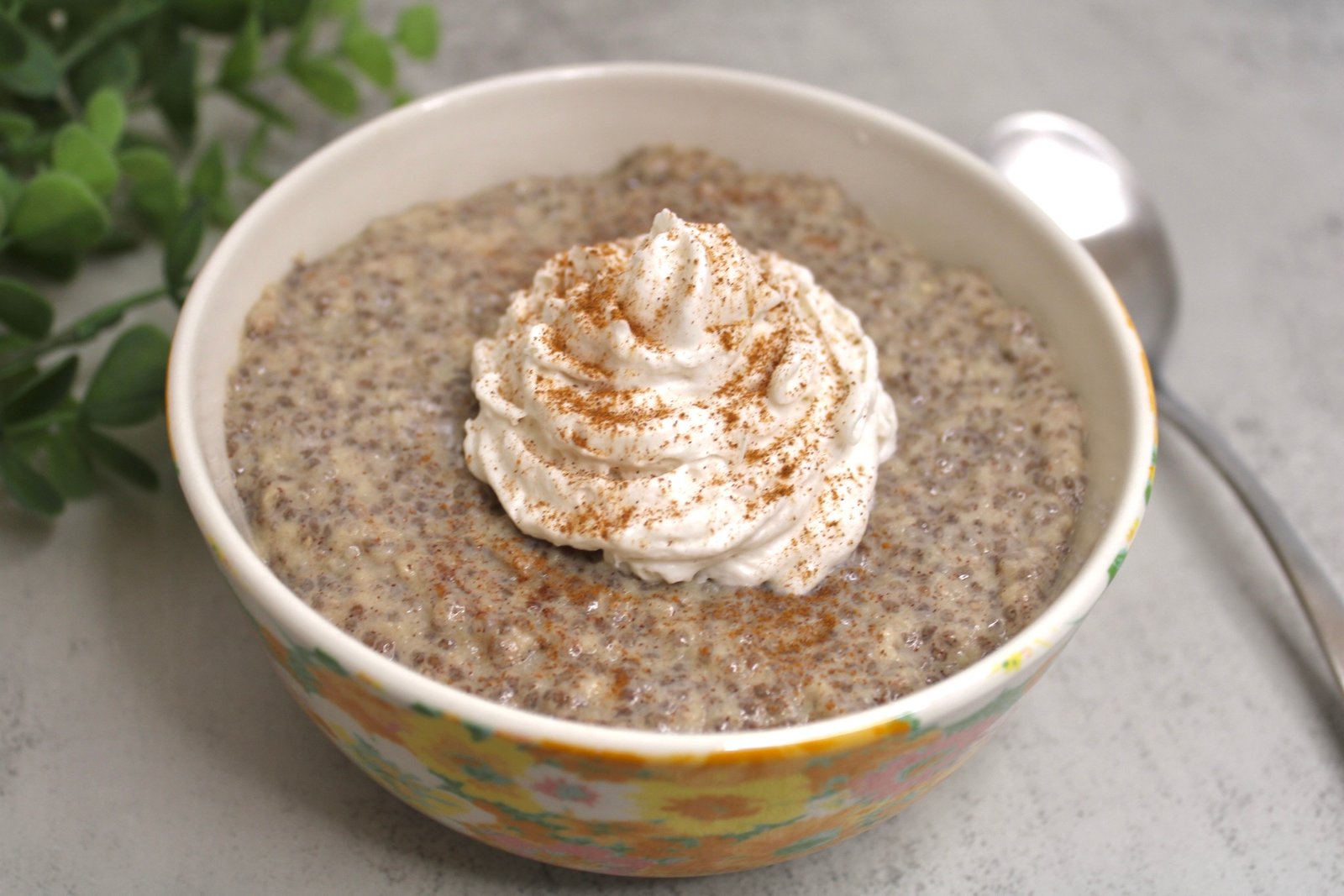 Apple Cinnamon Chia Seed Pudding